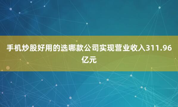 手机炒股好用的选哪款公司实现营业收入311.96亿元