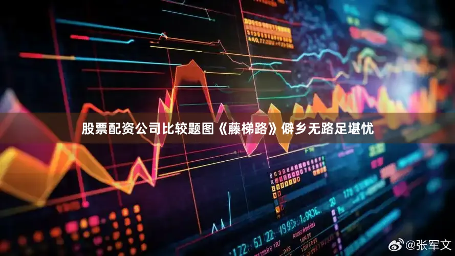 股票配资公司比较题图《藤梯路》僻乡无路足堪忧