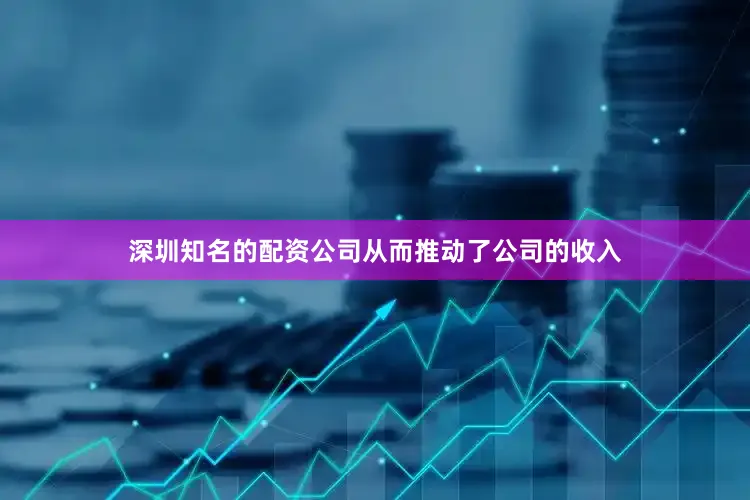 深圳知名的配资公司从而推动了公司的收入